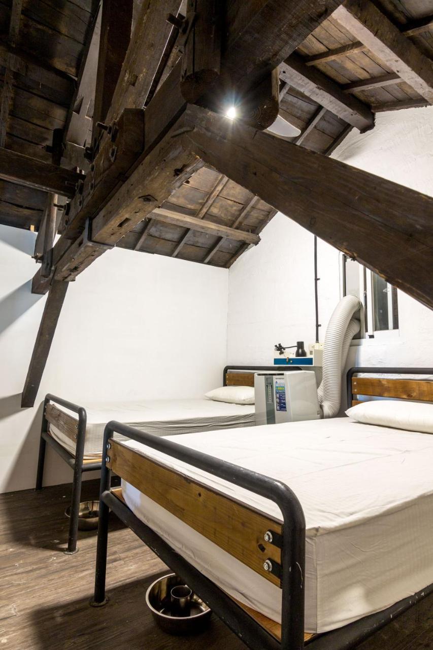 Pisces Youth Hostel Taitung Екстериор снимка